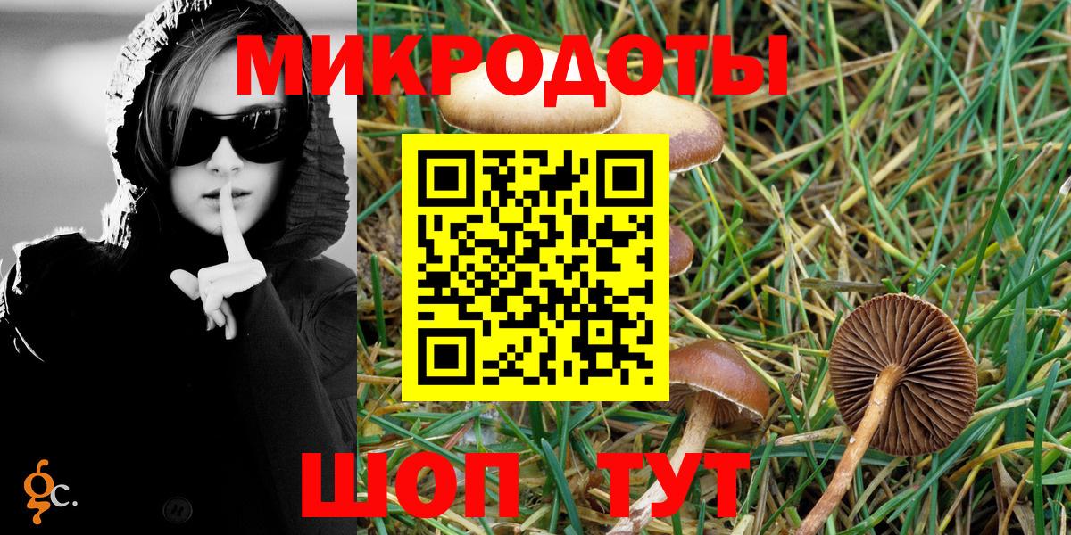 Мегион  Псилоцибиновые грибы Magic Shrooms  купить наркотик  Вход с VPN 